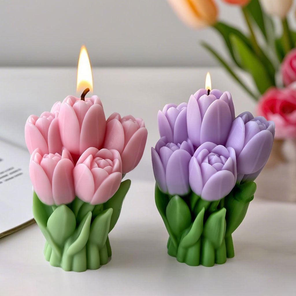 Regalo del Día de San Valentín - Candle Supplies Storage reseña y precio